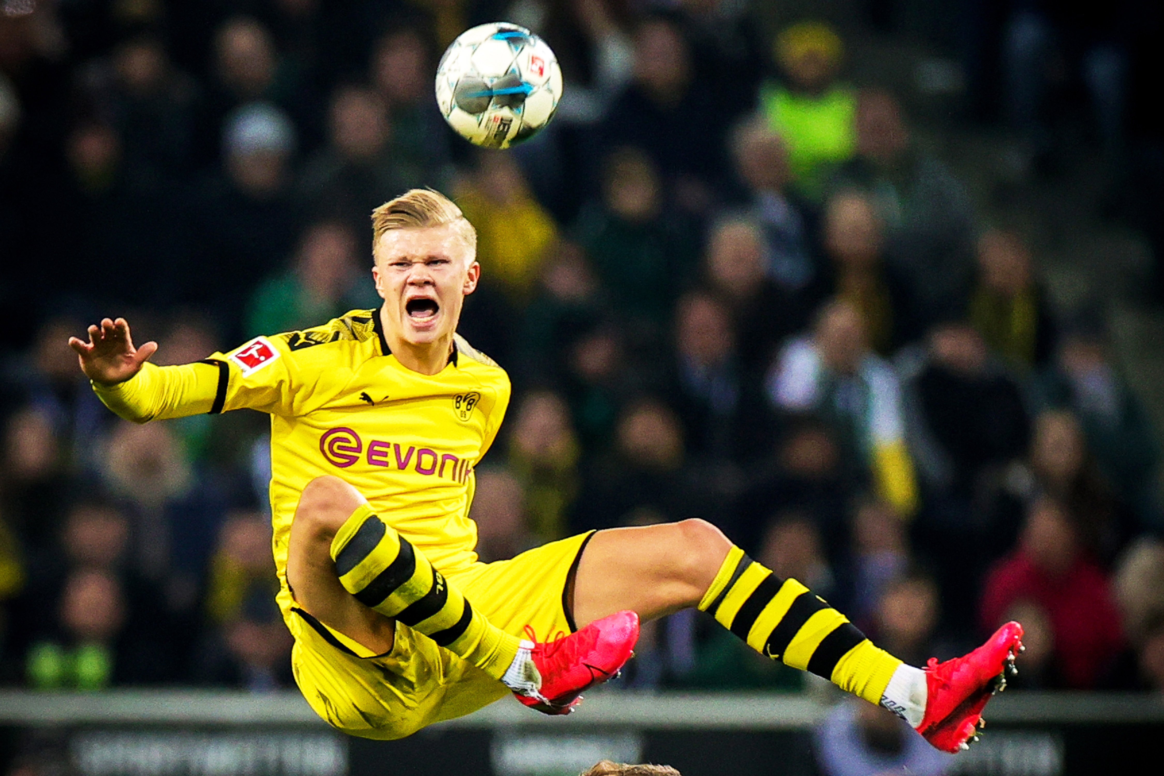 有助搜索收 有助搜索收